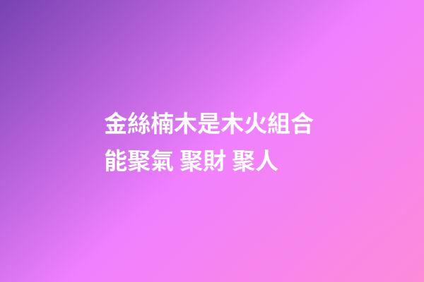 金絲楠木是木火組合 能聚氣 聚財 聚人